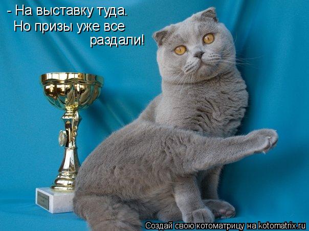 Котоматрица: - На выставку туда. Но призы уже все раздали!