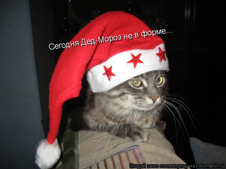 Котоматрица: Сегодня Дед-Мороз не в форме...