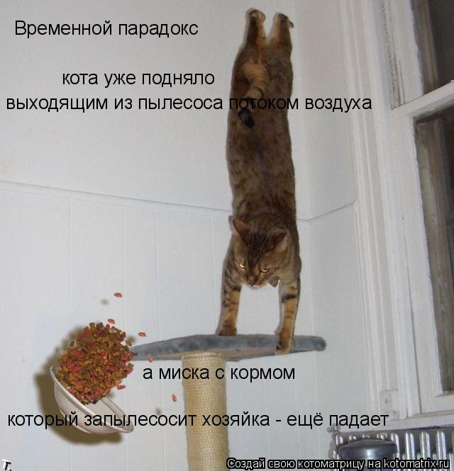 Временной парадокс кота уже подняло а миска с кормом который запылесосит хозяйка - ещё падает выходящ... Котоматрица: Временной парадокс кота уже подняло а миска с кормом который запылесосит хозяйка - ещё падает выходящим из пылесоса потоком воздуха