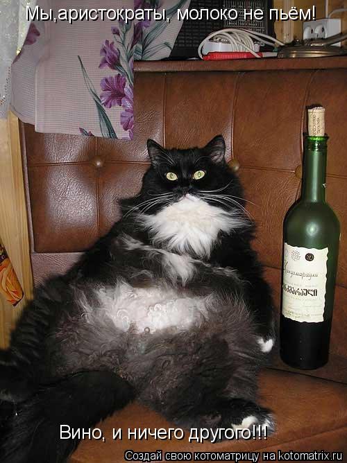 Мы,аристократы, молоко не пьём! Вино, и ничего другого!!!... Котоматрица: Мы,аристократы, молоко не пьём! Вино, и ничего другого!!!