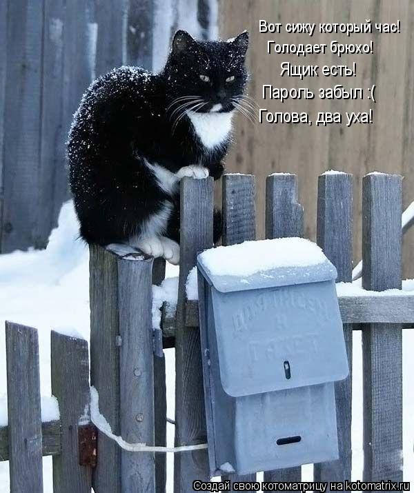 Вот сижу который час! Голодает брюхо! Ящик есть! Пароль забыл :( Голова, два уха!... Котоматрица: Вот сижу который час! Голодает брюхо! Ящик есть! Пароль забыл :( Голова, два уха!
