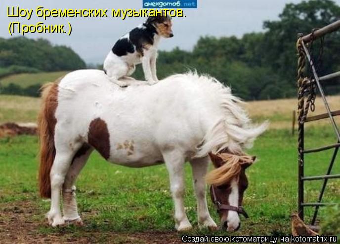 Котоматрица: Шоу бременских музыкантов. (Пробник.)