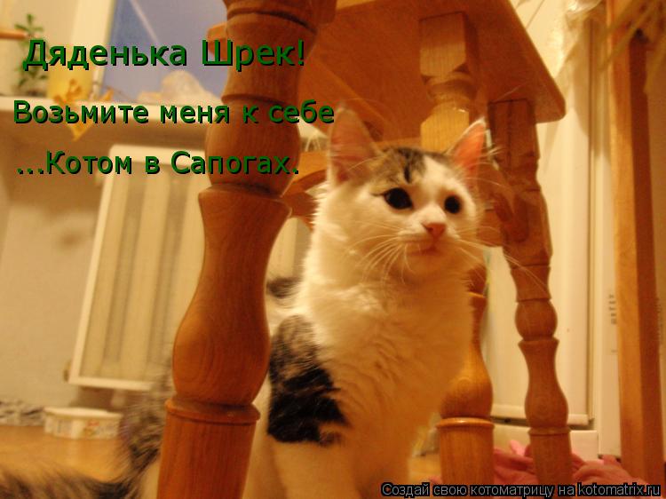 Котоматрица: Дяденька Шрек! Возьмите меня к себе  …..Котом в Сапогах…