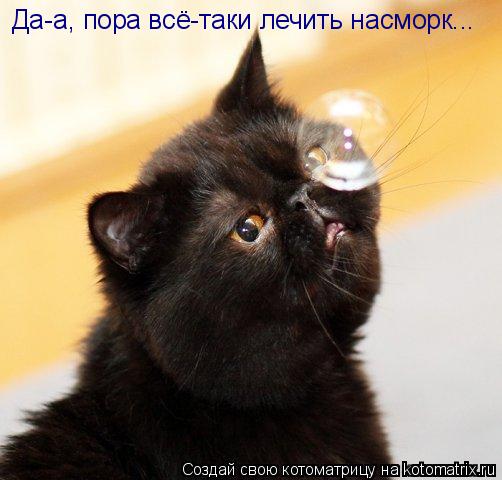 Котоматрица: Да-а, пора всё-таки лечить насморк...