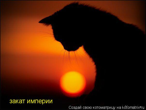Котоматрица: закат империи