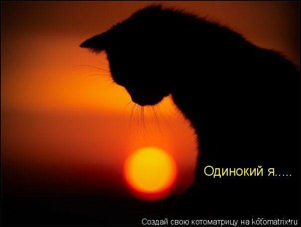Котоматрица: Одинокий я.....