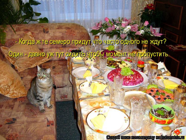 Котоматрица: - Когда ж те семеро придут,что часто одного не ждут? Один - давно уж тут сидитЬ,чтобы момент не пропустить.