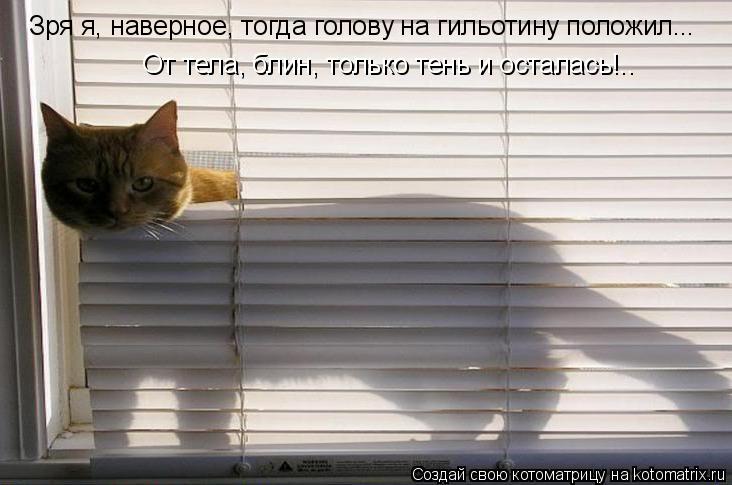 Котоматрица: Зря я, наверное, тогда голову на гильотину положил... От тела, блин, только тень и осталась!..