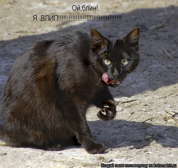 Котоматрица: Ой,блин! Я  ВЛИП!!!!!!!!!!!!!!!!!!!!!!!!!!!!!!!!!!!!