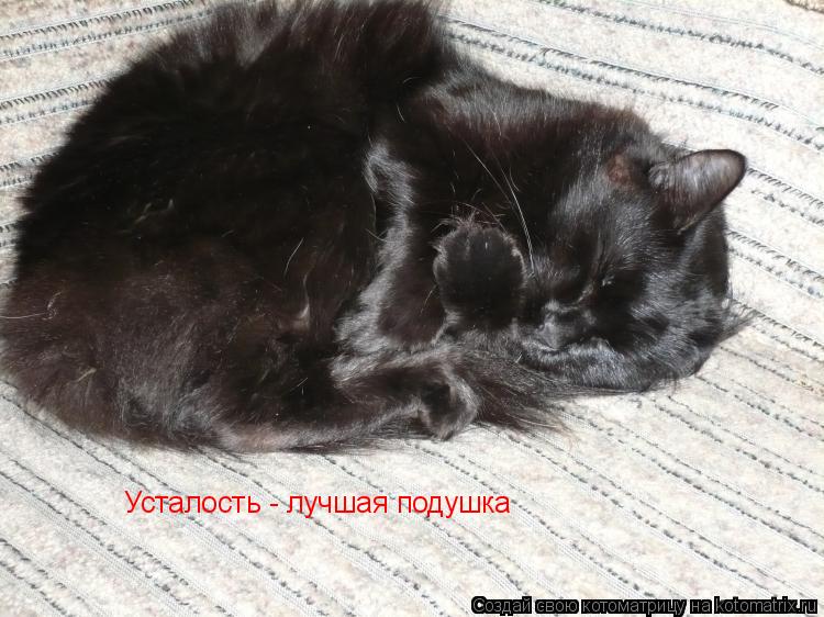 Усталость - лучшая подушка... Котоматрица: Усталость - лучшая подушка