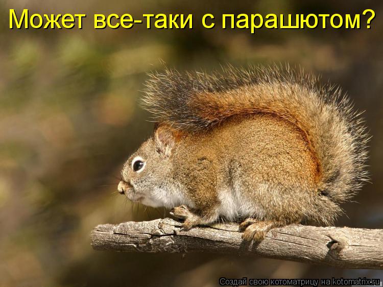 Котоматрица: Может все-таки с парашютом?