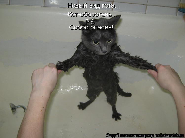 Котоматрица: Новый вид кота... Кот-оборотень... P.S. Особо опасен!