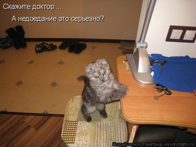Котоматрица: , Скажите доктор.... А недоедание это серьезно?