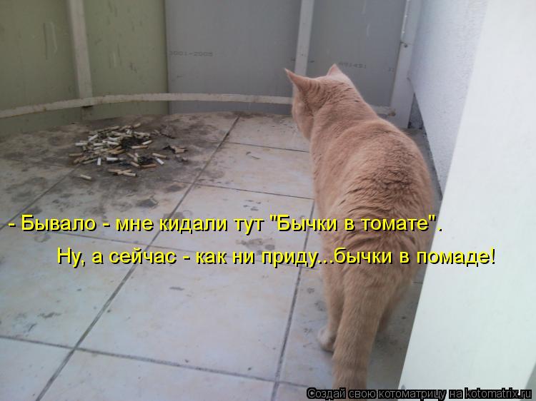 Ну, а сейчас - как ни приду...бычки в помаде! - Бывало - мне кидали тут "Бычки в томате".... Котоматрица: Ну, а сейчас - как ни приду...бычки в помаде! - Бывало - мне кидали тут "Бычки в томате".