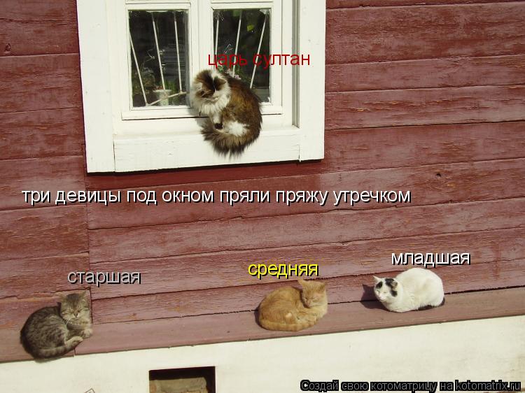 Котоматрица: три девицы под окном пряли пряжу утречком старшая     средняя младшая царь султан
