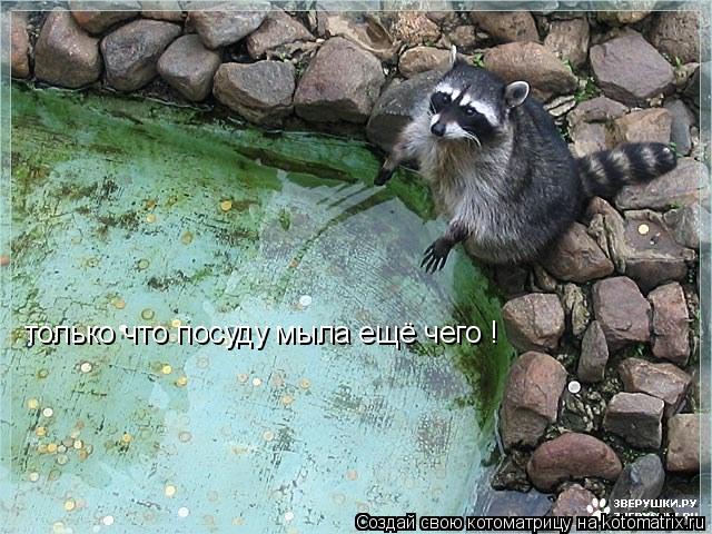 Котоматрица: только что посуду мыла ещё чего !