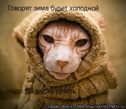 Котоматрица: Говорят зима будет холодной Надо бы шубку купить