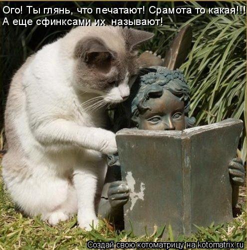 Котоматрица: Ого! Ты глянь, что печатают! Срамота то какая!!! А еще сфинксами их  называют!