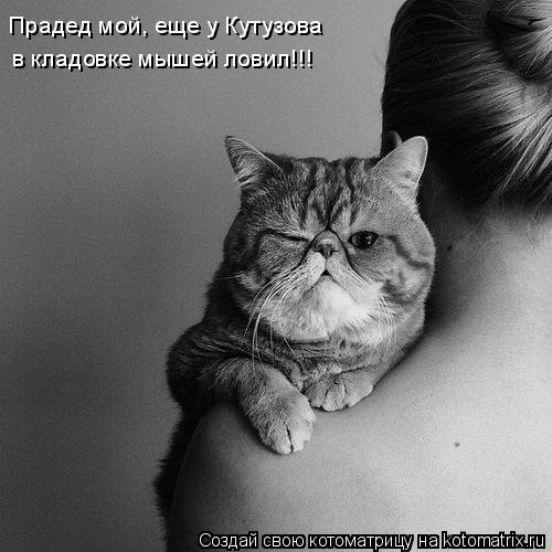 Котоматрица: Прадед мой, еще у Кутузова в кладовке мышей ловил!!!