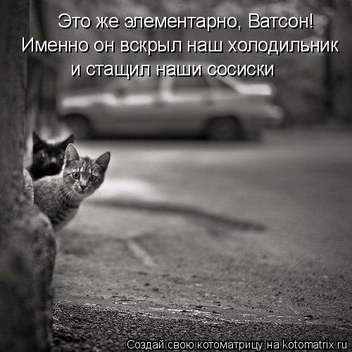 Котоматрица: Это же элементарно, Ватсон! Именно он вскрыл наш холодильник и стащил наши сосиски