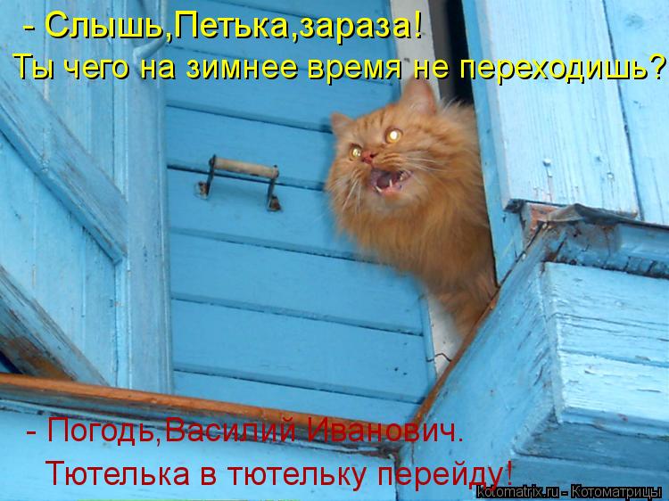 - Слышь,Петька,зараза! Ты чего на зимнее время не переходишь? - Погодь,Василий Иванович. Тютелька в т... Котоматрица: - Слышь,Петька,зараза! Ты чего на зимнее время не переходишь? - Погодь,Василий Иванович. Тютелька в тютельку перейду!