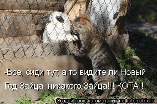 Котоматрица: -Все, сиди тут, а то видите ли Новый Год Зайца, никакого Зайца!!! КОТА!!!