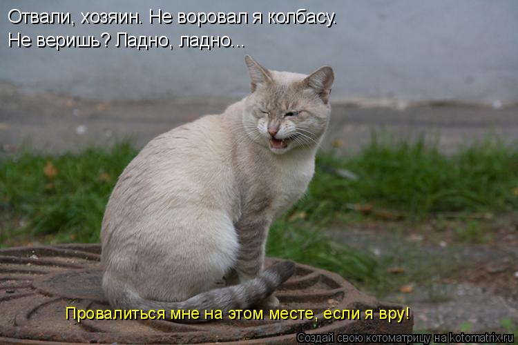 Котоматрица: Отвали, хозяин. Не воровал я колбасу. Не веришь? Ладно, ладно... Провалиться мне на этом месте, если я вру!