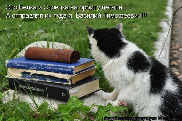 Это Белка и Стрелка на орбиту летали... Это Белка и Стрелка на орбиту летали... А отправлял их туда... Котоматрица: Это Белка и Стрелка на орбиту летали... Это Белка и Стрелка на орбиту летали... А отправлял их туда я, Василий Тимофеевич!!!