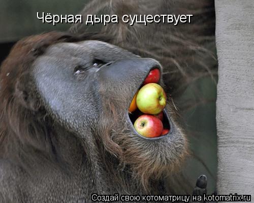 Котоматрица: Чёрная дыра существует