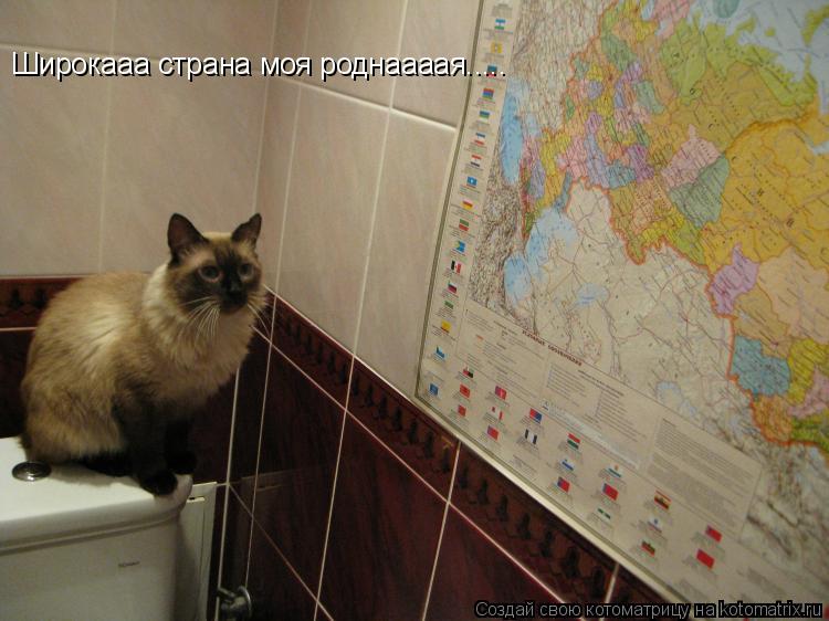 Котоматрица: Широкааа страна моя роднаааая.....