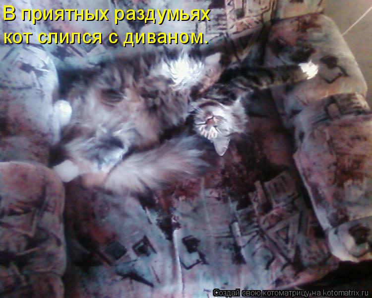 Котоматрица: В приятных раздумьях кот слился с диваном.