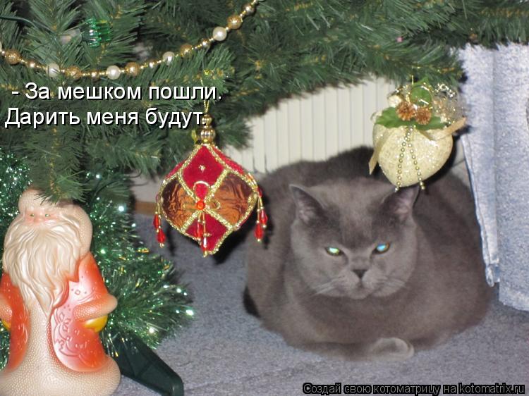 Котоматрица: - За мешком пошли. Дарить меня будут.