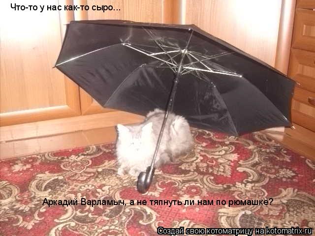 Что-то у нас как-то сыро... Аркадий Варламыч, а не тяпнуть ли нам по рюмашке?... Котоматрица: Что-то у нас как-то сыро... Аркадий Варламыч, а не тяпнуть ли нам по рюмашке?