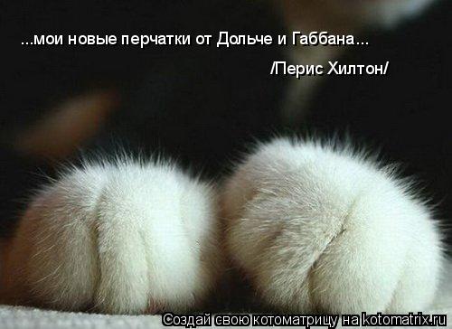 ...мои новые перчатки от Дольче и Габбана... /Перис Хилтон/... Котоматрица: ...мои новые перчатки от Дольче и Габбана... /Перис Хилтон/