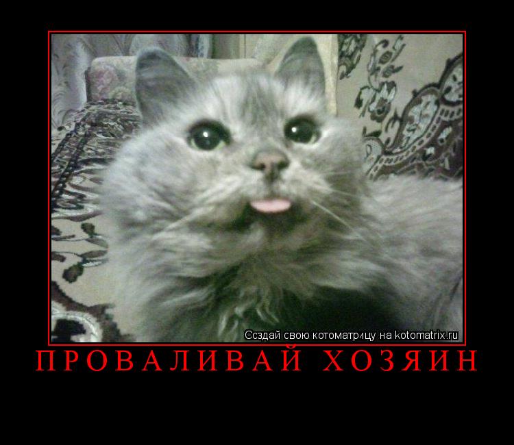 Котоматрица: проваливай хозяин 