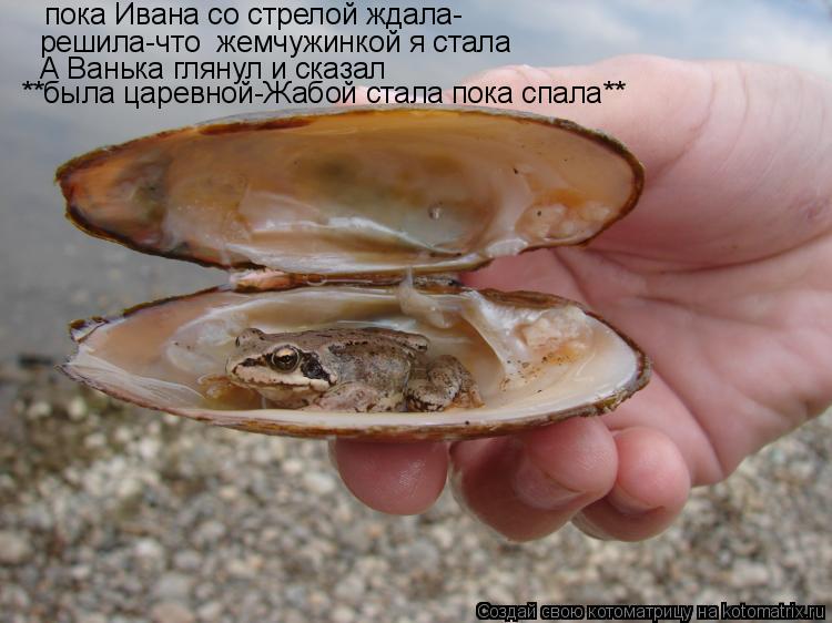 Котоматрица: пока Ивана со стрелой ждала- решила-что  жемчужинкой я стала А Ванька глянул и сказал **была царевной-Жабой стала пока спала**