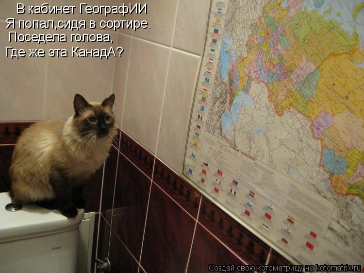 Котоматрица: В кабинет ГеографИИ Я попал,сидя в сортире. Поседела голова, Где же эта КанадА?