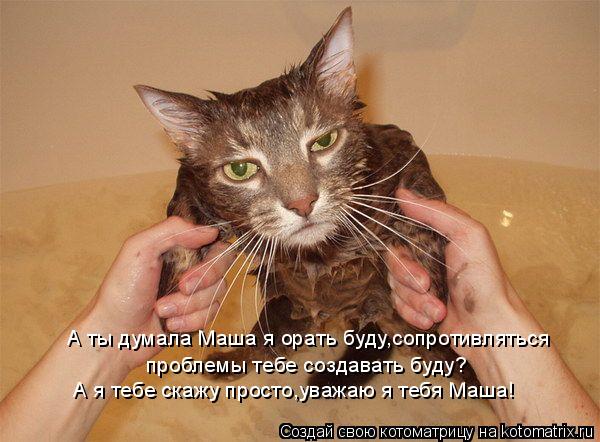 Котоматрица: А ты думала Маша я орать буду,сопротивляться   проблемы тебе создавать буду? А я тебе скажу просто,уважаю я тебя Маша!