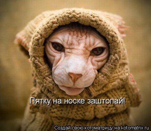Котоматрица: Пятку на носке заштопай!