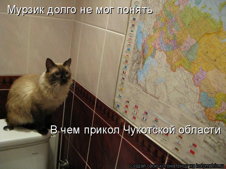 Котоматрица: Мурзик долго не мог понять В чем прикол Чукотской область В чем прикол Чукотской области