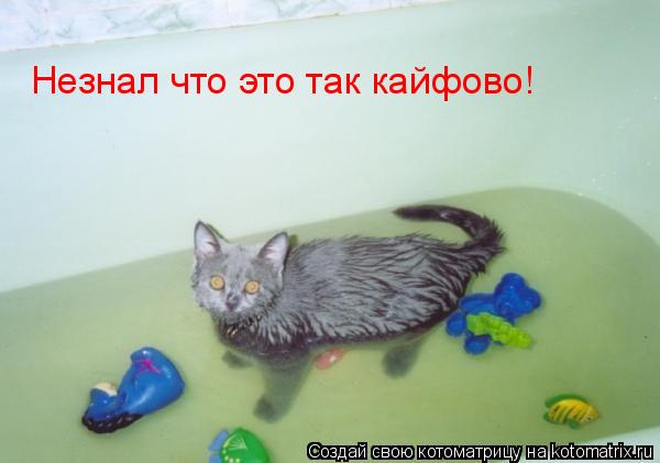 Котоматрица: Незнал что это так кайфово!