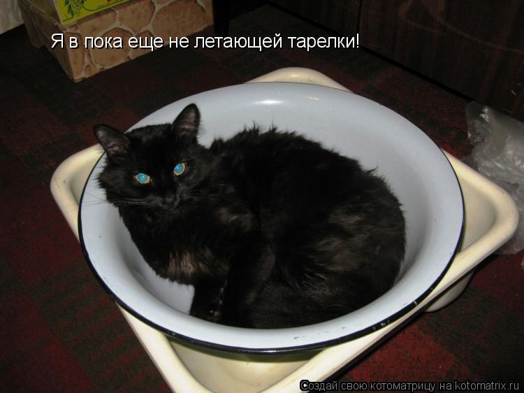 Котоматрица: Я в пока еще не летающей тарелки!