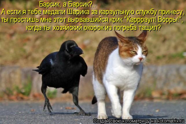 А если я тебе медали Шарика за караульную службу принесу, ты простишь мне этот вырвавшийся крик "Кар... Котоматрица: А если я тебе медали Шарика за караульную службу принесу, ты простишь мне этот вырвавшийся крик "Каррраул! Ворры!", когда ты хозяйский окоро