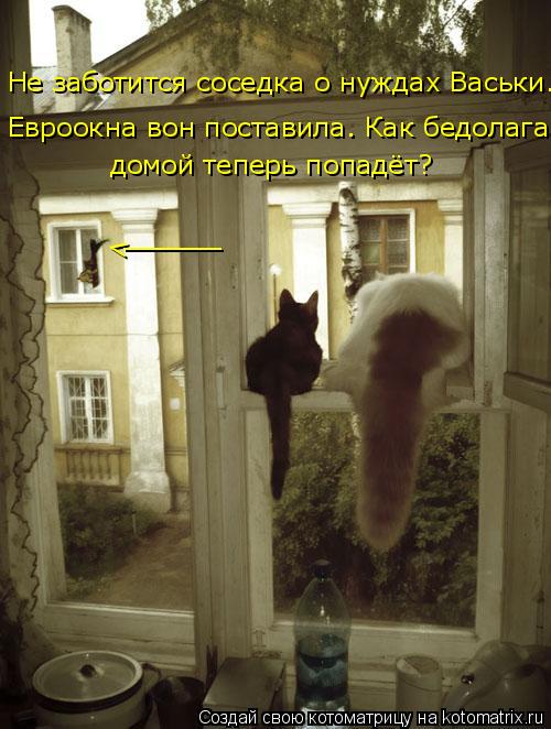 v ______ домой теперь попадёт? Не заботится соседка о нуждах Васьки. Евроокна вон поставила. Как бедо... Котоматрица: v ______ домой теперь попадёт? Не заботится соседка о нуждах Васьки. Евроокна вон поставила. Как бедолага