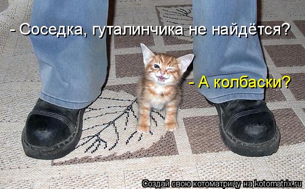 - Соседка, гуталинчика не найдётся? - А колбаски?... Котоматрица: - Соседка, гуталинчика не найдётся? - А колбаски?
