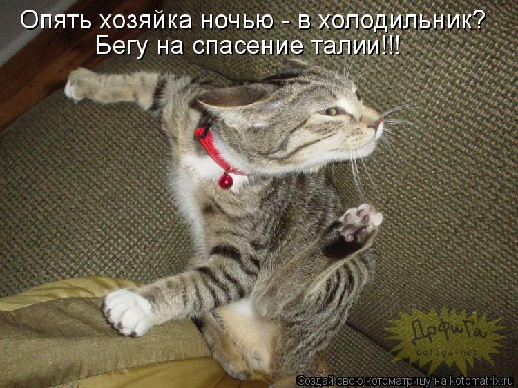 Котоматрица: Опять хозяйка ночью - в холодильник? Бегу на спасение талии!!!