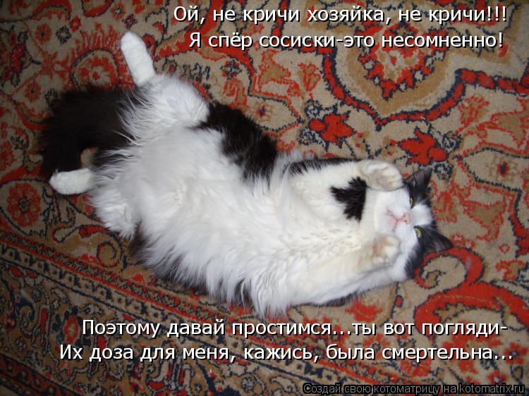 Котоматрица: Ой, не кричи хозяйка, не кричи!!! Я спёр сосиски-это несомненно! Поэтому давай простимся...ты вот погляди- Их доза для меня, кажись, была смерте