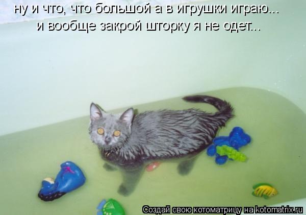Котоматрица: ну и что, что большой а в игрушки играю... и вообще закрой шторку я не одет...