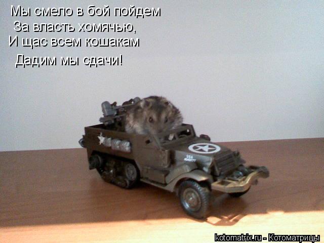 Мы смело в бой пойдем За власть хомячью, И щас всем кошакам Дадим мы сдачи!... Котоматрица: Мы смело в бой пойдем За власть хомячью, И щас всем кошакам Дадим мы сдачи!