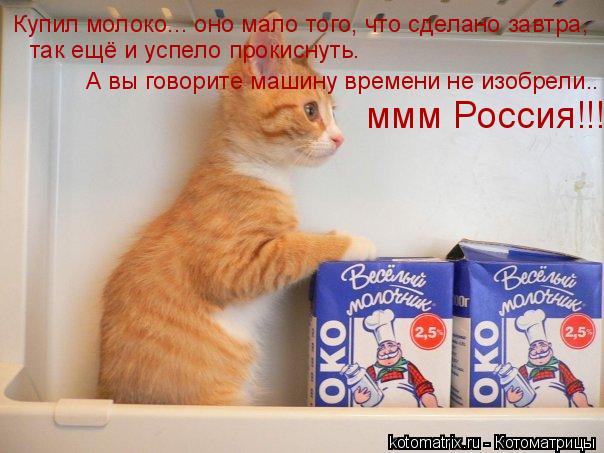 Котоматрица: Купил молоко... оно мало того, что сделано завтра,  так ещё и успело прокиснуть. А вы говорите машину времени не изобрели. так ещё и успело про